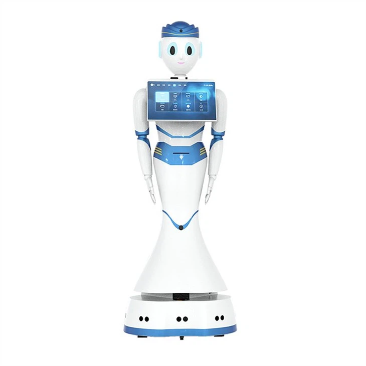 Intelligent Service Robot